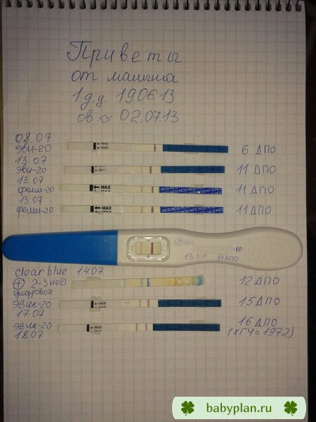 Моя динамика :) На эвике сравнялись полоски по яркости при хгч 1972!!!