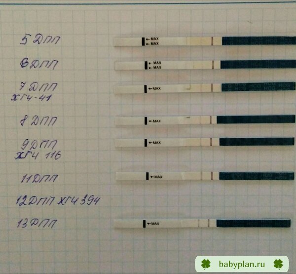 Градиент из полосочек )))