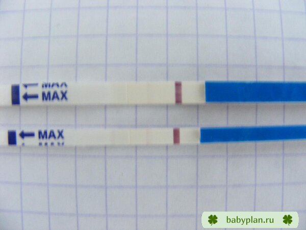 мои самые первые положительные тесты. ХГЧ - 39.2