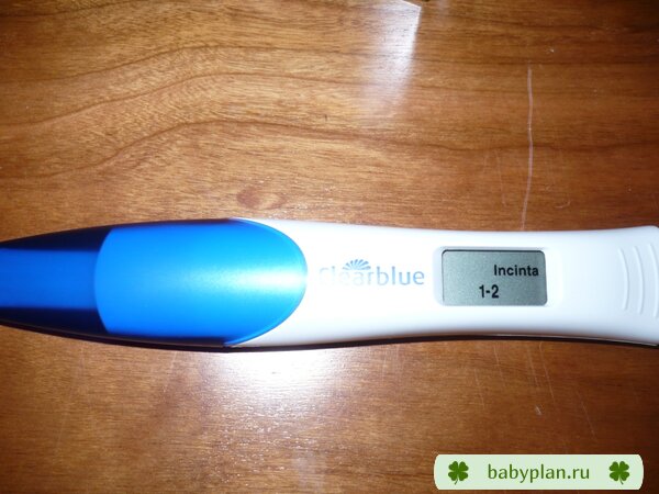 мой долгожданный беременный тест