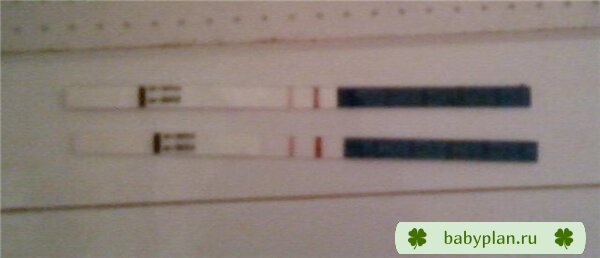 Мои тесты на беременность