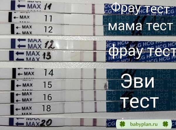 Моя динамика с 11 по 20 дпо