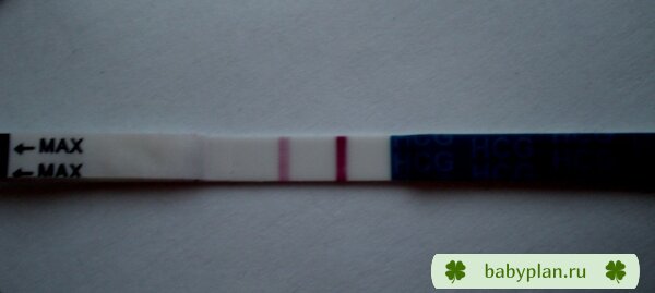 Тест на беременность Эви, 16 ДПО