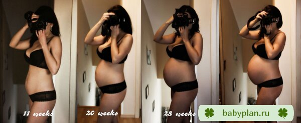 11-35 weeks