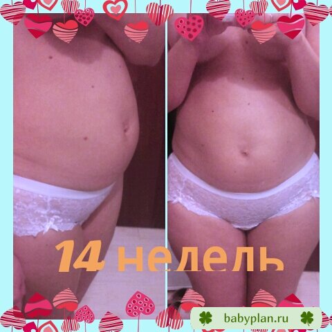 14 недель