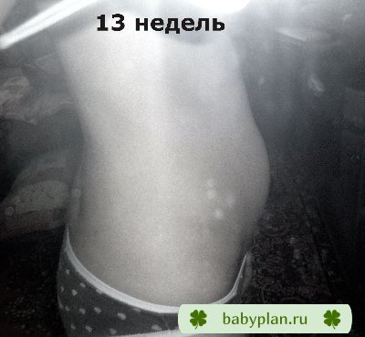 13 неделя