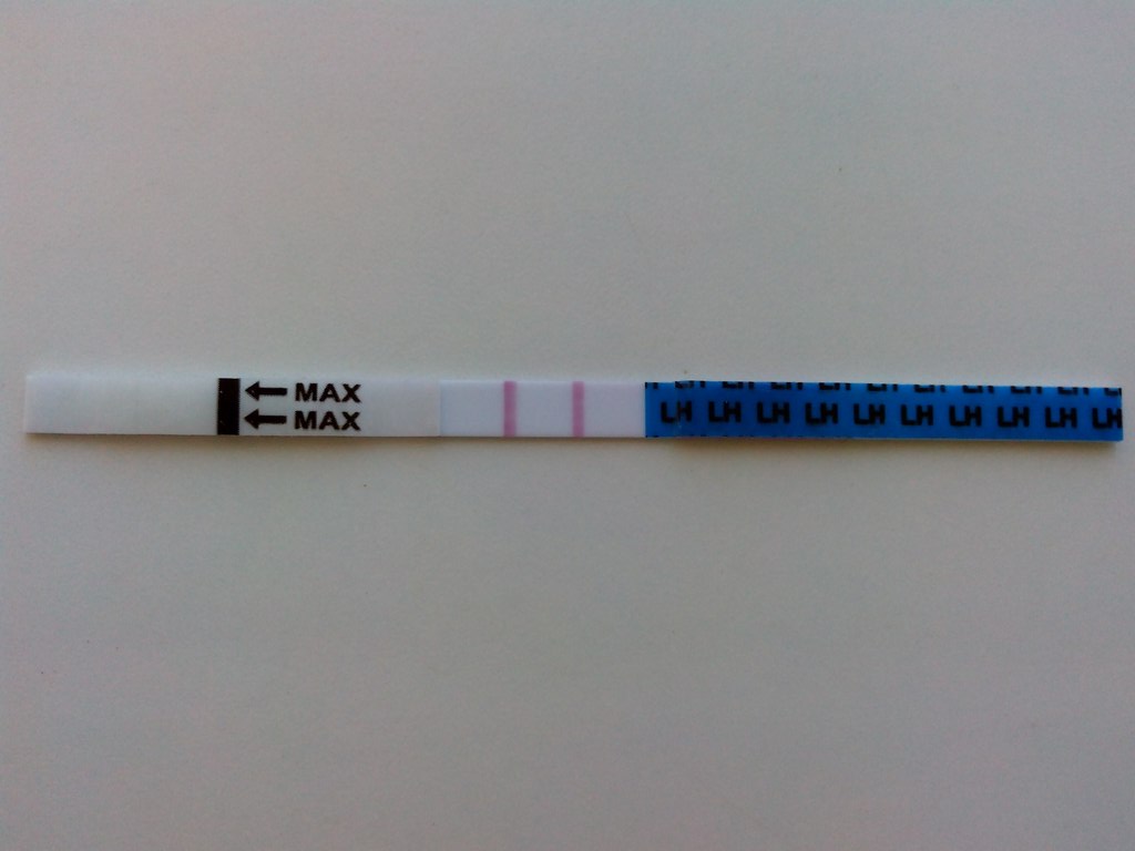 Полоски теста на беременность фото 2 полоски