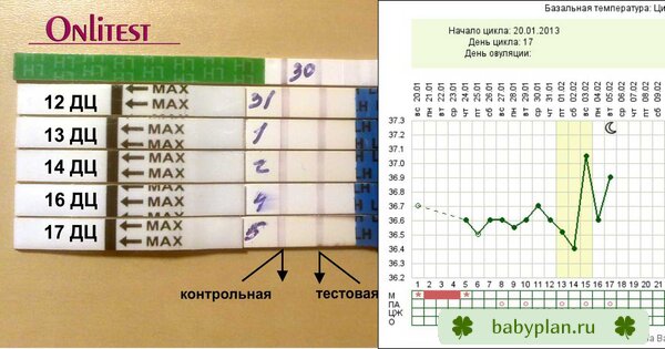 ОВУЛЯША