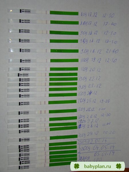 2 цикл планирования 101213