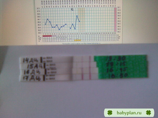 Мои первые тестики на овуляцию...помогите разобраться...это О или нет? и что с графиком??? почему сегодня температура ниже вчерашней?
