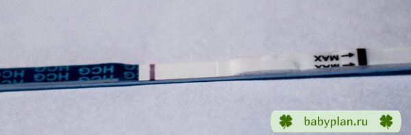 11dpo 1