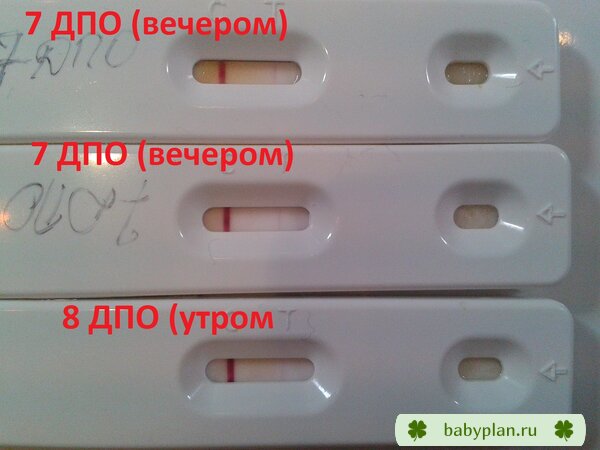 Девочки, помогите разобраться. Это ведь у меня не глюки, правда?