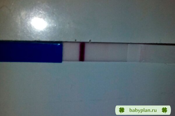 Primerno 12-14 dpo