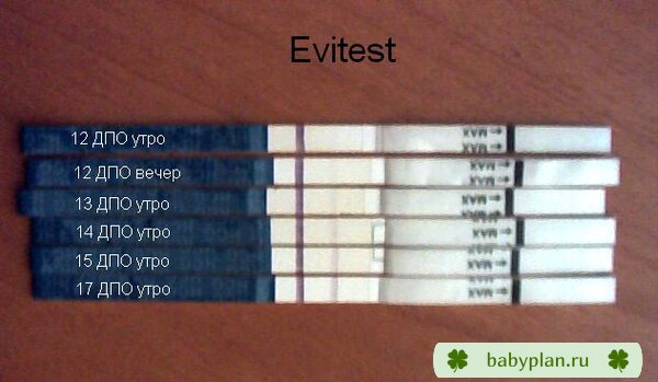 эвитест с 12 ДПО