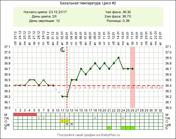17 день цикла. БТ цикл 28 дней. Недостаток лютеиновой фазы базальная температура. 20 День цикла. Первый день цикла это.