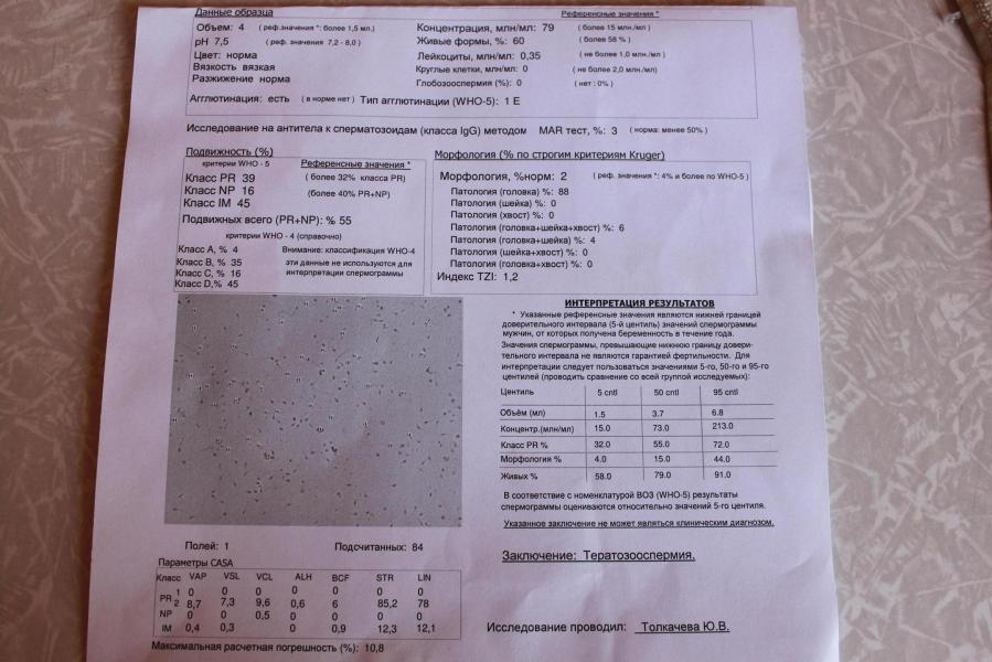Схема лечения тератозооспермии форум