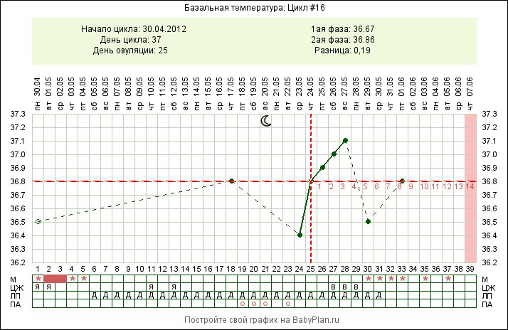 Цикл 26