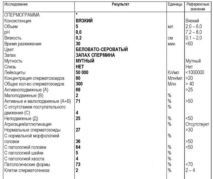 Спермограмма результаты расшифровка