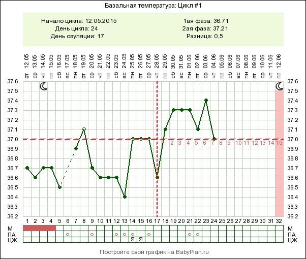 Базальная температура график