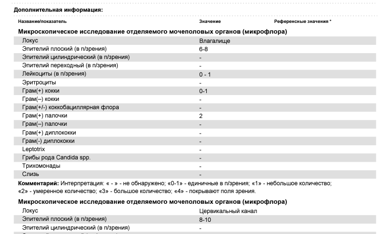 Микроскопическое исследование мазка расшифровка у женщин