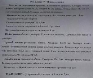 Заключение 5 6. УЗИ 6 недель беременности заключение. УЗИ 5-6 недель беременности заключение. УЗИ 6-7 недель беременности заключение. Результаты УЗИ на 6 неделе беременности.