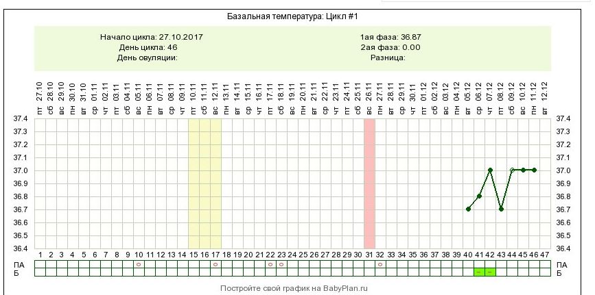 17 день цикла