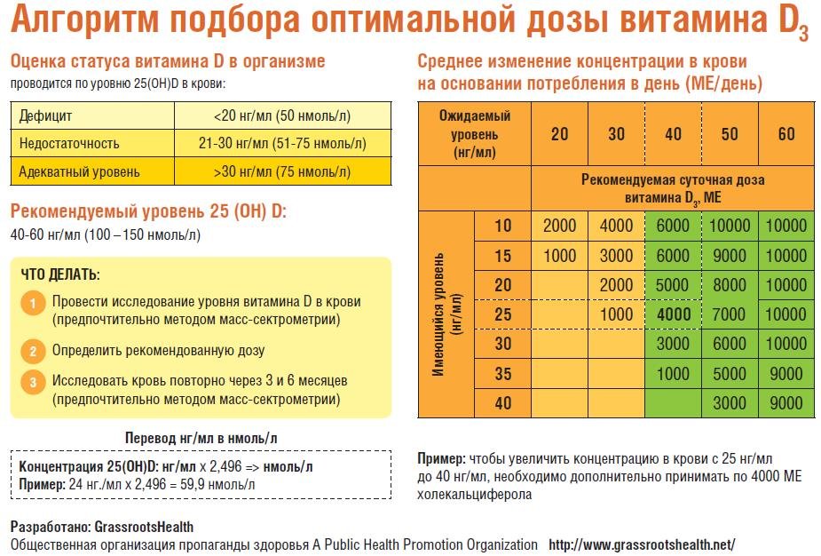 Тироксин на сушке дозировка схема