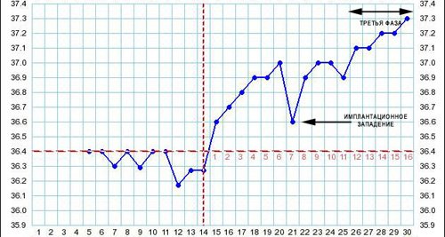 Температура базальная при имплантационном кровотечении thumbnail