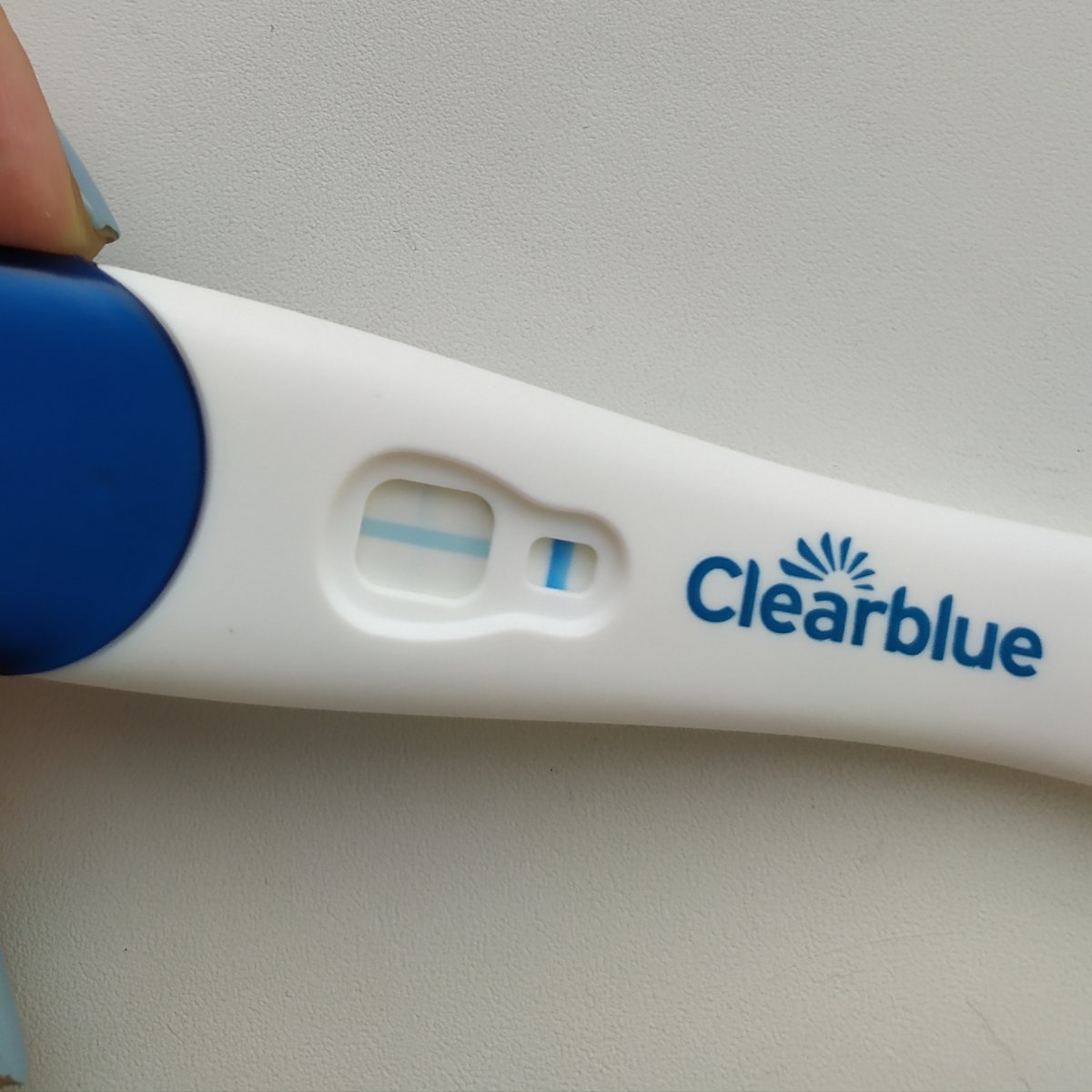 clearblue фото отрицательного теста