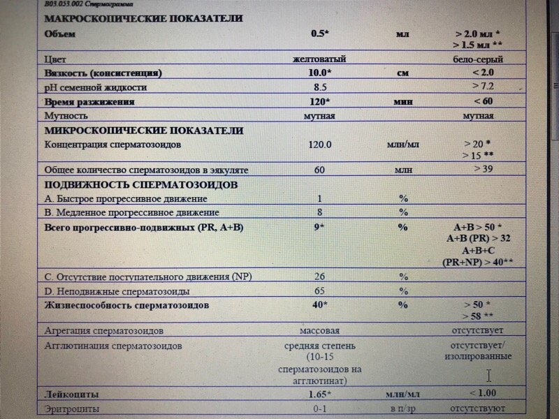 Спермограмма со смарт тестом