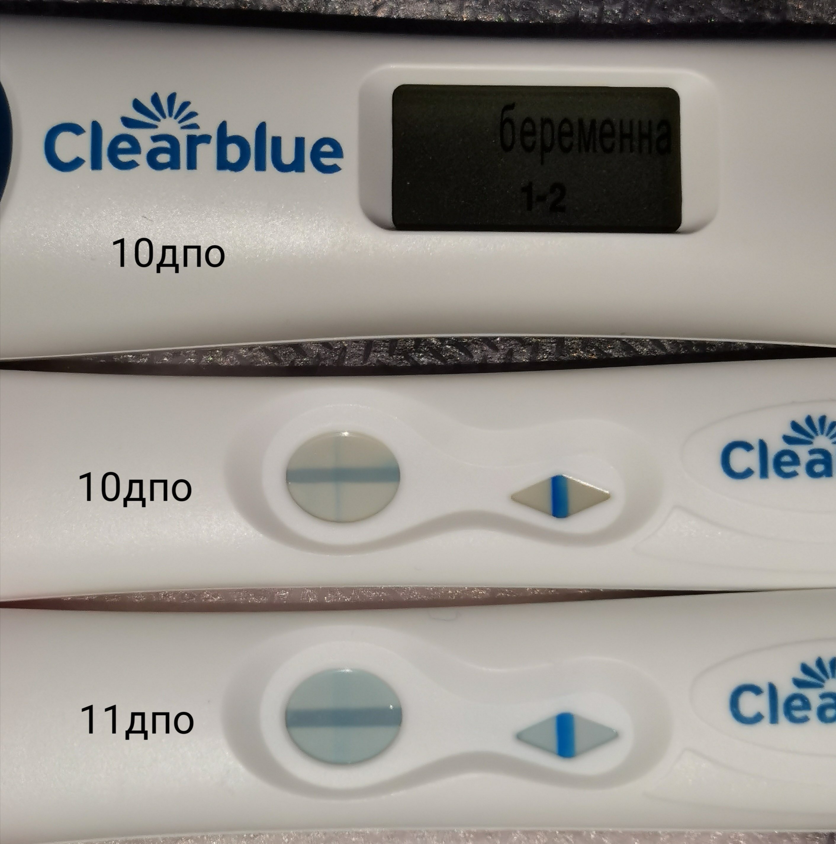 Цифровой тест на беременность Clearblue на 11 день после овуляции