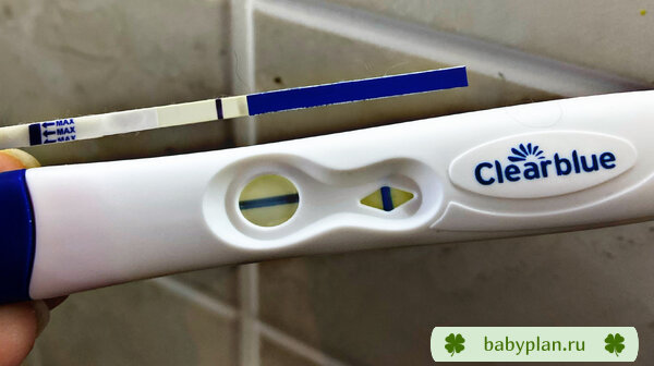 Тест на беременность ClearBlue