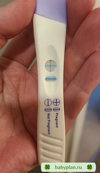 Фото теста на беременность