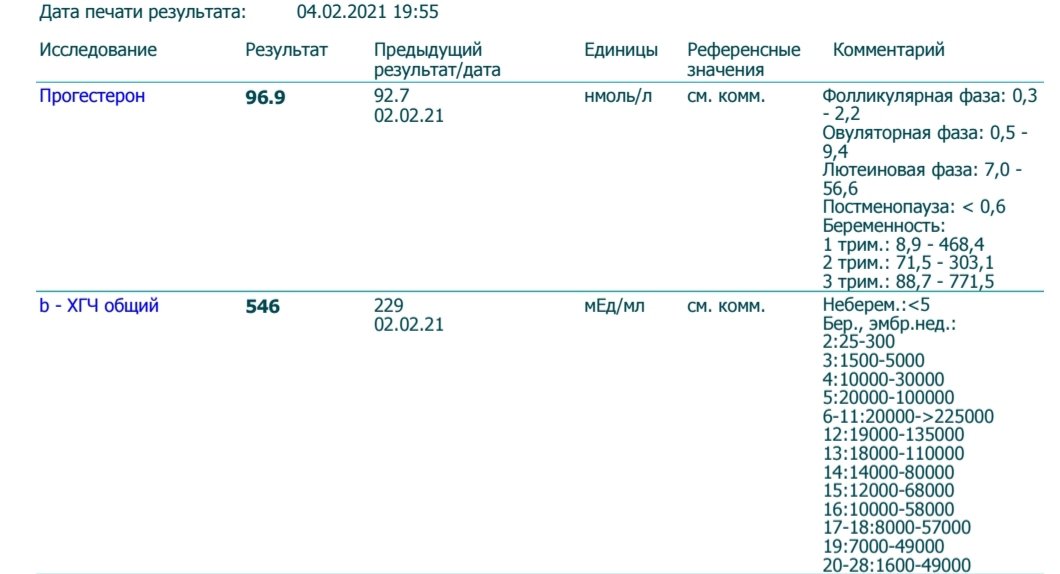 Референтный лист компании образец