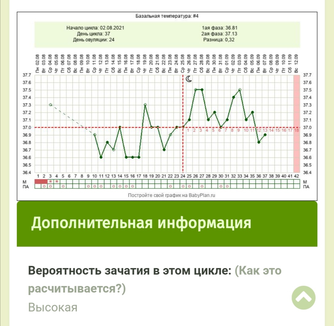 Базальная температура. Имплантационное западение на графике БТ. Имплантационное западение базальной температуры на графике. График БТ С имплантационным западением. Западение базальной температуры во второй фазе.