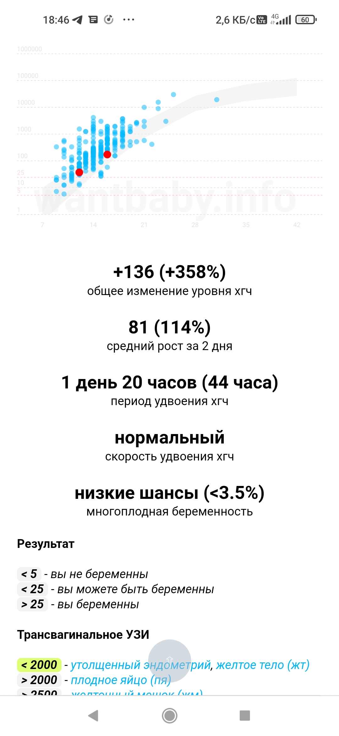 Низкий прирост хгч на 19 дпо - 285 . 17 дпо - 174. - Вопросы о беременности  - BabyPlan