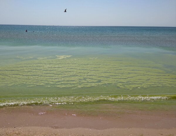 IMG_20230608_152630.jpg